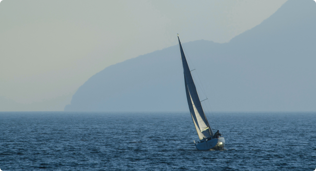 Wealth Management